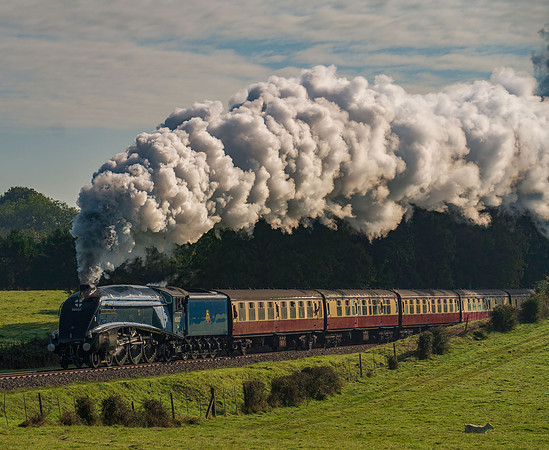 Lner Class A No 60007 Sir Nigel Gresley
